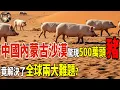 Download Lagu 中國內蒙古沙漠驚現500萬頭豬大軍？竟解決了全球兩大難題？#中國#環境#生態恢復#沙漠綠化#綠色革命#農業創新#china #nature #environment #sustainability