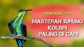 Download BESETAN KOLIBRI JERNIH || masteran ampuh burung kolibri full isian MP3