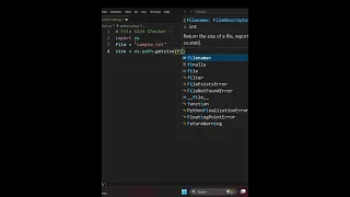 File Size Checker in python