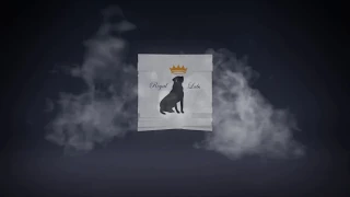 kollision cash talk quality control lyrics 