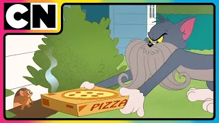 Tom Jerry The Great Stache Showdown Best Cartoon Cat And The Mouse Cnindia 