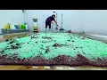 Can We Save This XXL 9 000 Luxury Carpet From Total Destruction Satisfying s