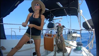 How the sailing adventure began! Meet the crew – Wandersailing