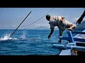 Download Lagu Chadell Olleona - BALEO (Tradisi Penangkapan Ikan Paus Di Lamalera Pulau Lembata, NTT)