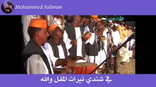 البشيره جاد السيد 