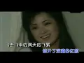 凤飞飞 - 追梦人（《雪山飞狐》片尾曲）