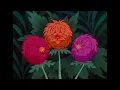 Alice in Wonderland - Golden Afternoon (Indonesian)