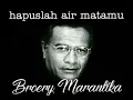 Download Lagu HAPUSLAH AIRMATAMU - BROERY MARANTIKA - lirik