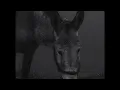 Bryan Senti - Humo (Official Music Video) [Trailer to the visual album, "Manu" by Alexandra Cuesta]