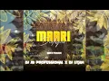 Download Lagu Maari Dialogue ( Edm X Trance Mix) Dj Jb Professional X Dj Litan