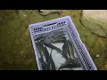 August crappie fishing report hillsdale lake kansas