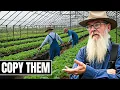 How Amish Build and Maintain Greenhouses Without Modern Technology