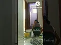 Download Lagu Real parah ini,tenang tenang🤣🤣
