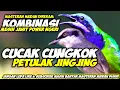 Download Lagu POWER SEDAP!!! PETULAK JINGJING VS CUCAK CUNGKOK || PETULAK JINGJING GACOR || CUNGKOK GACOR PANJANG