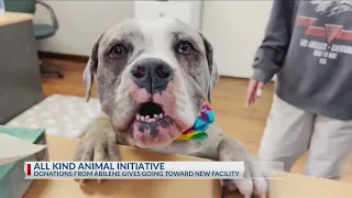 All Kind Animal Initiative put donations from Abilene Gives toward new facility