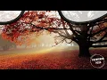Fikret Kızılok - Gönül (Şarkı Sözü/Lyrics) HD