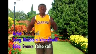 yaleo kali song maisha kitendawili