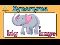 Synonyms Words with the Same Meaning