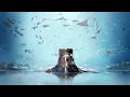 nowisee - Koinu sped up (1 hour version)