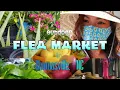 Tour Plants Haul - FLEA MARKET THOMASVILLE NC MCnNC