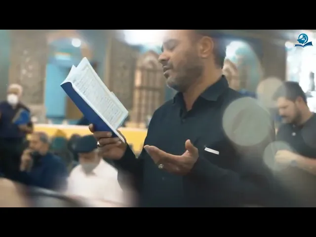 مجد الرضا