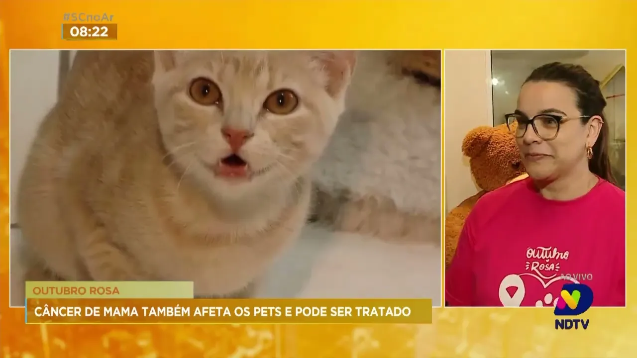 Câncer de mama também atinge as fêmeas de animais domésticos