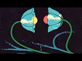 Lane 8 - Cross Pollination II (2026) (Cut Album)