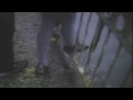 Swirlies "Bell" (1993)