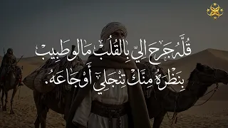   يا نسيم الهاب سلم عالحبيب   المولد النبوي  الحضرة الصوفية  عمار العبيدي  العراق  لبنان دندنها