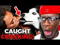 The Most DISTURBING THINGS Found On Livestreams