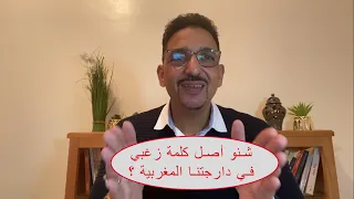 شنو أصل كلمة زغبي ف دارجتنا المغربية 