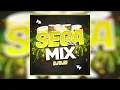 Download Lagu Mix Séga 2024 | DJ DJN