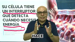 Interruptor celular