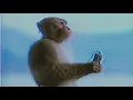 Our Own Devices - Cienfue