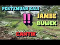 Lagu AKHIRNYA NYAMPE KALI JAMBE !! BUWEK LANCAR !! BERSIH