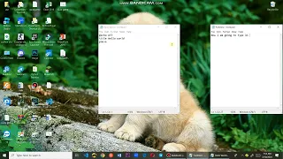 Notepad Programming Tutorials - User Input