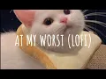 Download Lagu At My Worst (lofi) - Gustixa (Vietsub + Lyric)