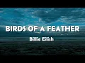Billie Eilish - BIRDS OF A FEATHER (Lyrics)