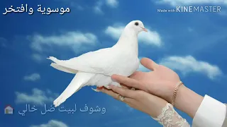 ياطير الصاف عافوني 