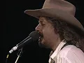Arlo Guthrie - Coming Into Los Angeles (Live at Farm Aid 1986)