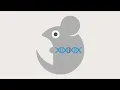 How to perform a CRISPR Knockout Experiment