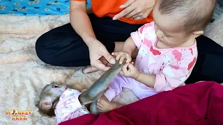 Diem is massaging Monkey Kaka's hands—so adorable.