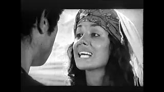 گرگ بیزار با شرکت بهروزوثوقی 