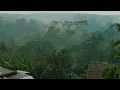Download Lagu sore hari yang indah, hamparan hutan dan kabut tebal