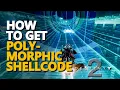 How to get Polymorphic Shellcode Destiny 2