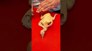 قولي ازاي أنا هونت عليك فولو بالحب 