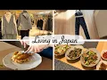 Lagu window shopping, make American waffle, move forward to my resolution | japan daily life