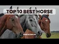 Live Odds Horse Betting App FanDuel Racing