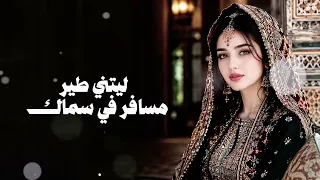 والله إني في هواك مغرم   كلمات  أبو جنى   ألحان  إبراهيم عطيفة   تنفيذ وإخراج  أبو جنى         دندنها