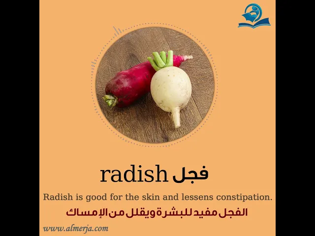 ⁣كيف تلفظ كلمة (فجل) في اللغة الإنجليزية How to pronounce (radish)